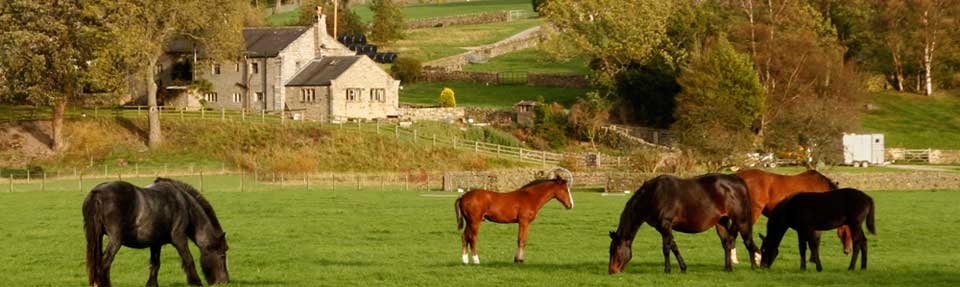 About Manor House Farm