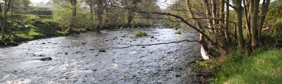 Manor House Farm Campsite